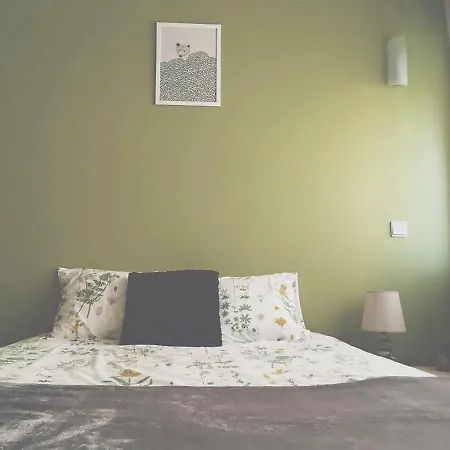 Casa Lima Apartment Braga