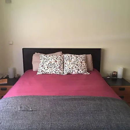 Casa Lima Apartment Braga