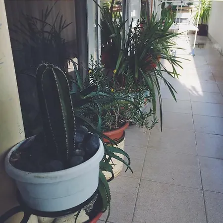 Casa Lima